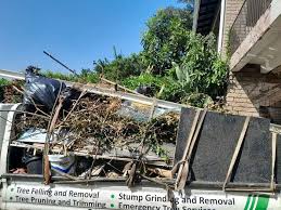 Best Residential Junk Removal  in Mesquite, TX